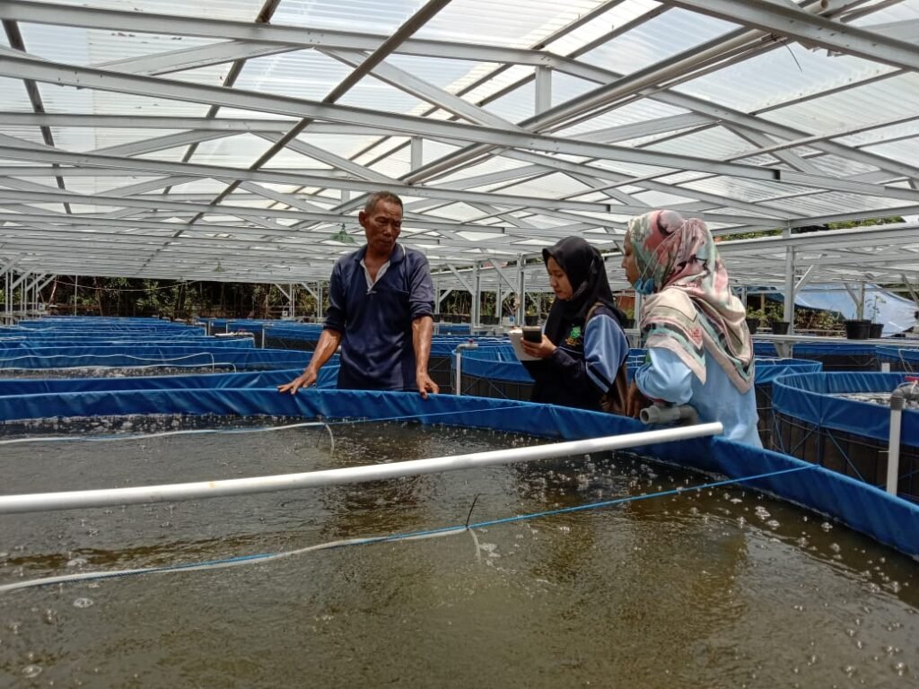 Menilik Keberhasilan Kelompok Lele Mutiara