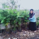 Mahasiswa KKN UIN Walisongo Tanam Puluhan Bibit Pohon