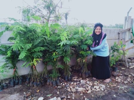 Mahasiswa KKN UIN Walisongo Tanam Puluhan Bibit Pohon