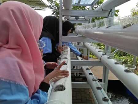Mahasiswa KKN Kelompok 60 Manfaatkan Lahan untuk Menanam hidroponik