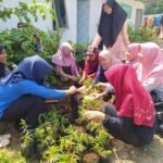 Atasi Masalah Nyamuk, Mahasiswa KKN UIN Walisongo Kenalkan Budidaya Tanaman Bunga Lavender