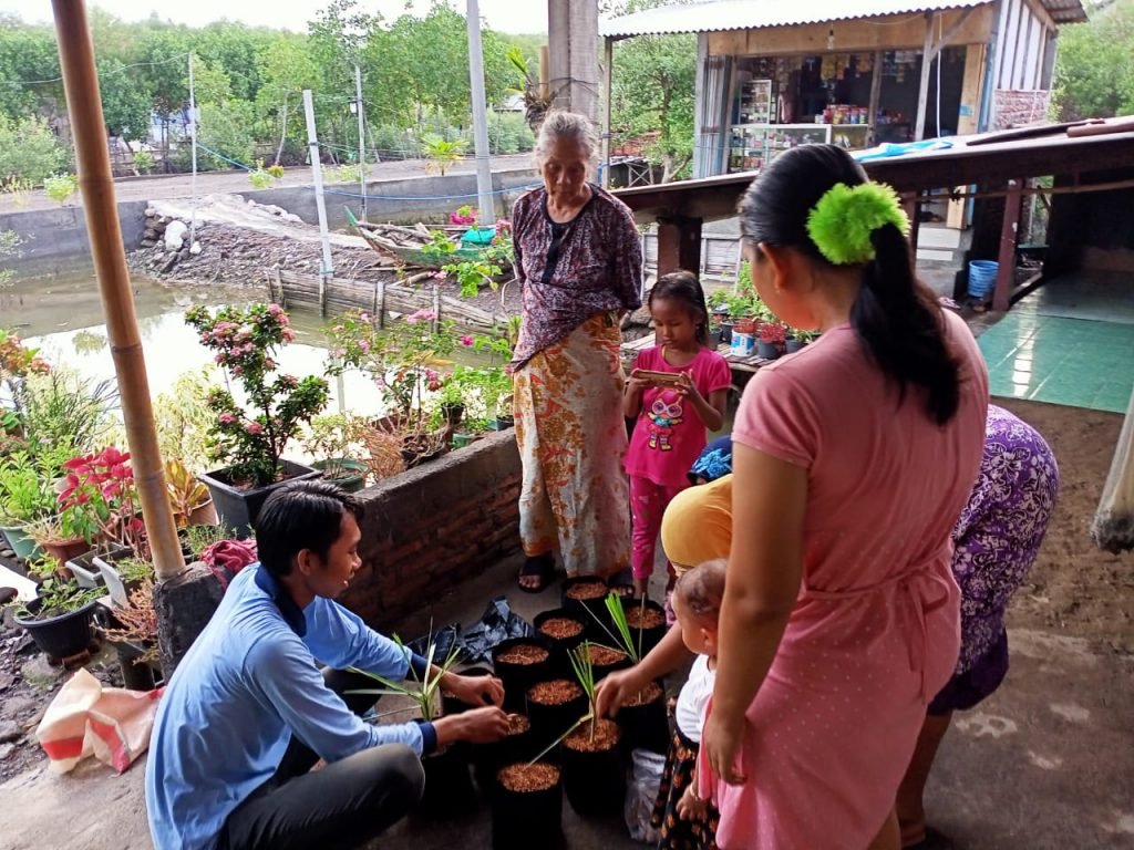 Mahasiswa KKN Berikan Edukasi Budidaya Toga
