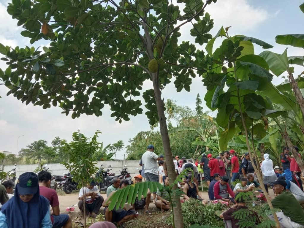 Peduli Lingkungan, Mahasiswa KKN UIN Walisongo Tanam 800 Pohon