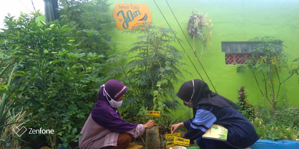 Mahasiswa KKN UIN Walisongo Buat Taman TOGA
