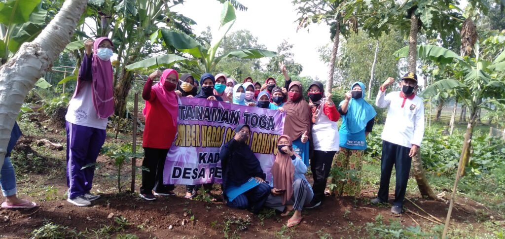 Mahasiswa KKN UIN Walisogo Andil dalam Penanaman Tanaman Toga