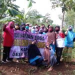 Mahasiswa KKN UIN Walisogo Andil dalam Penanaman Tanaman Toga