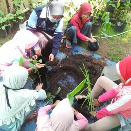 Penanaman Tanaman Holtikultura di Desa Kandangmas Kabupaten Kudus