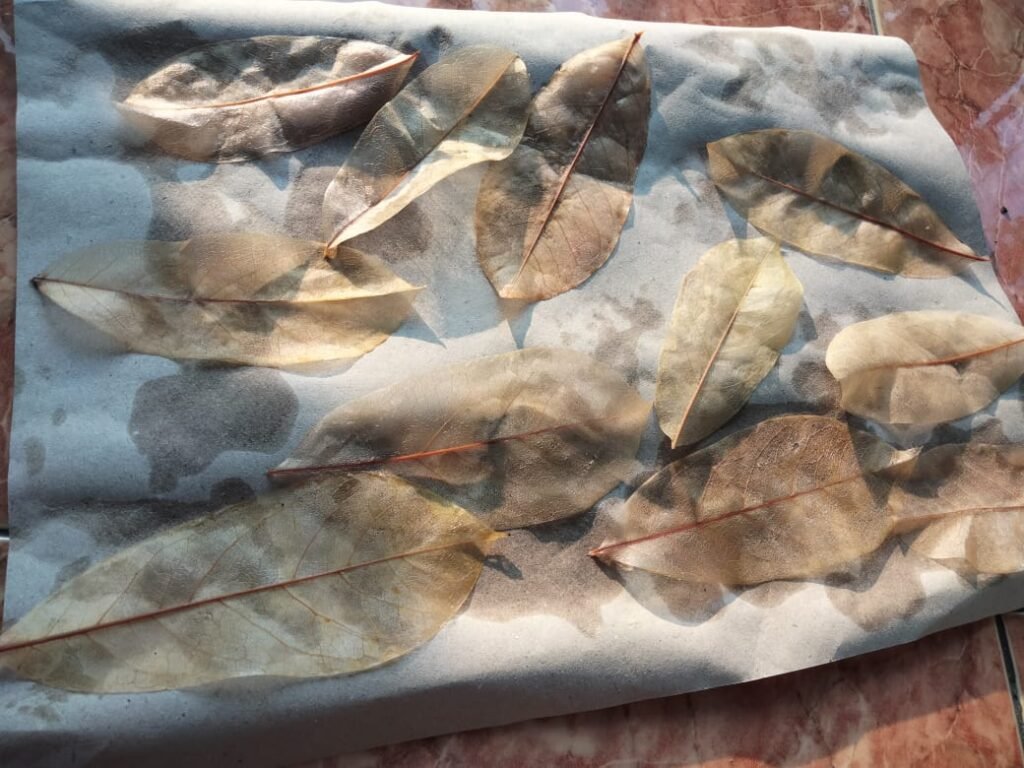 Mahasiswa KKN Buktikan Cara Sederhana Membuat Kerajinan Leaf Skeleton