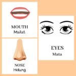 Flashcard sebagai Media Pembelajaran untuk PAUD di Era Pandemi