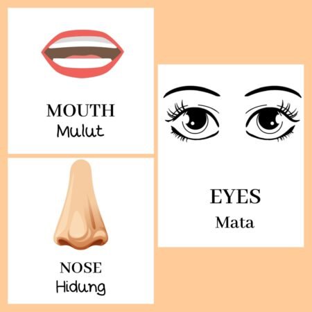 Flashcard sebagai Media Pembelajaran untuk PAUD di Era Pandemi