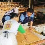 Unik, Warga Desa Plajan Olah Pohon Aren Jadi Tepung Sagu