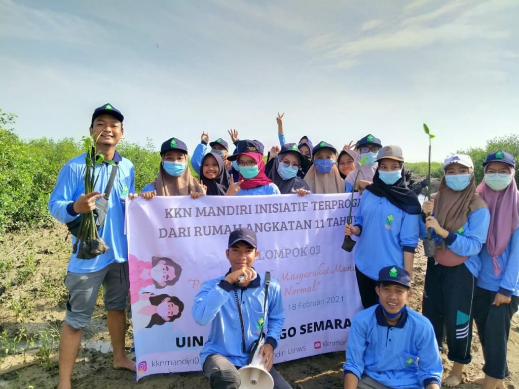 Bersama Sejumlah OKP, Mahasiswa KKN UIN Walisongo Tanam Ribuan Mangrove