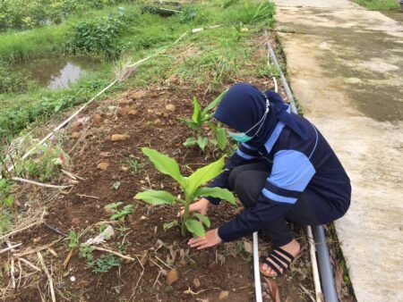 Manfaatkan Lahan Warga, Tim KKN UIN Walisongo Melakukan Penanaman TOGA