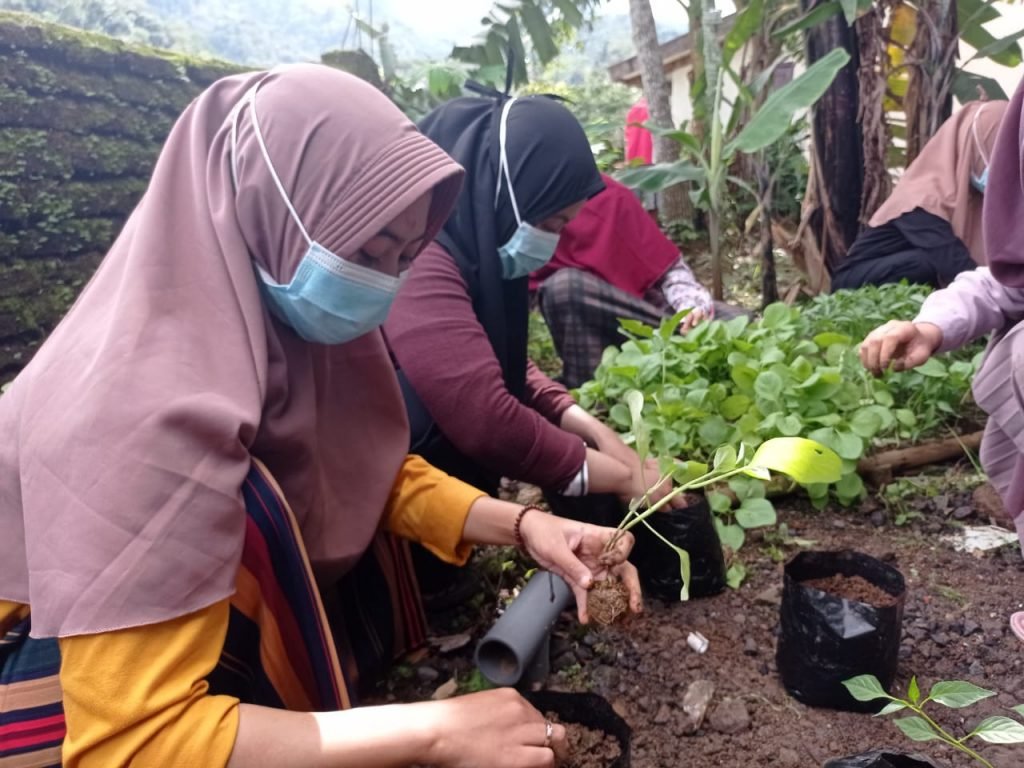 Mahasiswa KKN Realisasikan Program Seribu Bibit untuk Desa