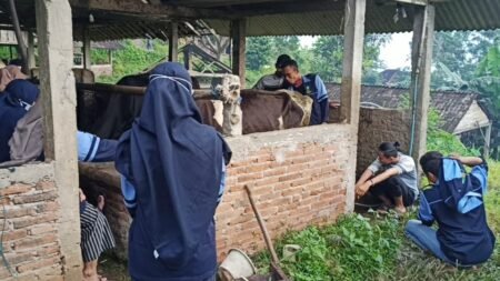 Mahasiswa KKN UIN Walisongo Kembangkan Produk Susu Sapi Aneka Rasa Mahasiswa KKN-MIT-DR-11 UIN Walisongo Semarang, Adrick Vadhlammir Robbick, mengadakan pelatihan dalam pembuatan olahan susu sapi beraneka rasa