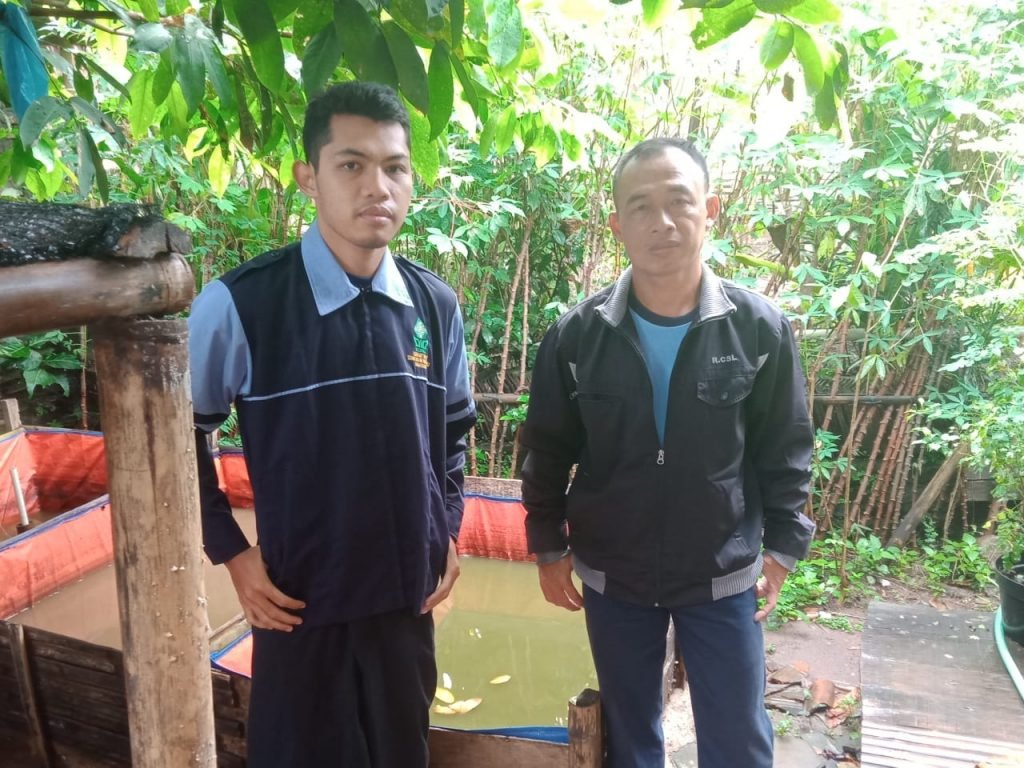Mahasiswa KKN UIN Walisongo Ajak Masyarakat Budidaya Lele Mahasiswa Kuliah Kerja Nyata (KKN) Universitas Islam Negeri (UIN) Walisongo gandeng ketua RT setempat untuk mengajak masyarakat budidaya ikan lele