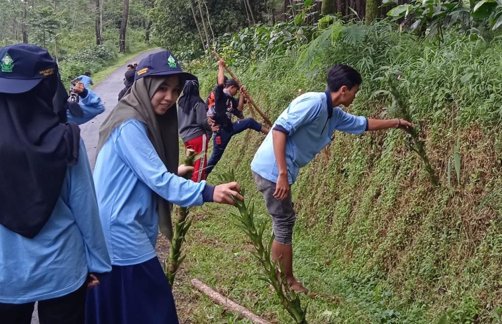 Bersama Monunitas PAKUBARA, Mahasiswa KKN UIN Walisongo Lakukan Tanam Pohon Penanaman pohon yang diprogramkan mahasiswa KKN UIN Walisongo