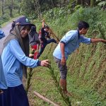 Bersama Monunitas PAKUBARA, Mahasiswa KKN UIN Walisongo Lakukan Tanam Pohon