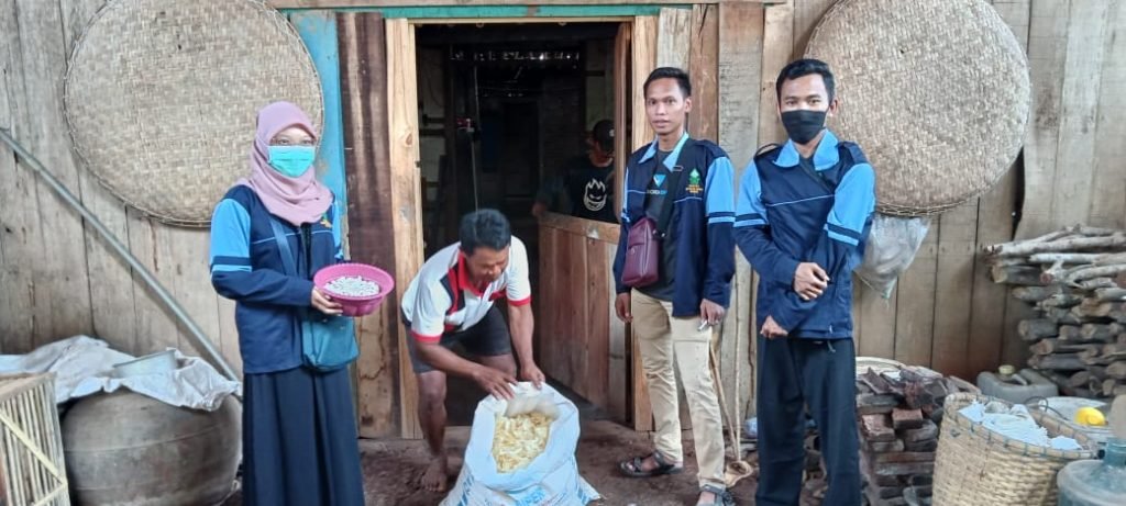 Kripik Gadung, Peluang Usaha Baru di Tengah Pandemi Mahasiswa KKN MIT DR UIN Walisongo Kelompok 16 Podorejo melakukan kunjungan ke Desa Podorejo
