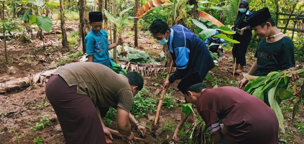 Tim KKN UIN Walisongo Tanam Toga di Lingkungan Pesantren Al Ma’un Tim Kuliah Kerja Nyata Mandiri Inisiatif Terprogram Dari Rumah ( KKN MIT DR ) Ke - 11 UIN Walisongo Semarang lakukan penanaman Toga