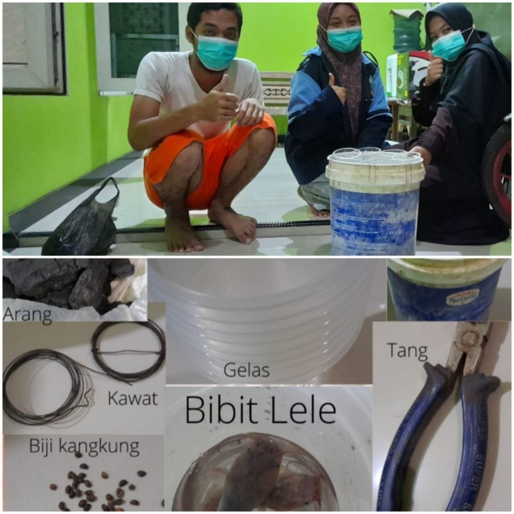 Akuaponik Jadi Solusi Budidaya Sayur di Tengah Pandemi Pemanfaatan ember bekas cat sebagai media hidroponik