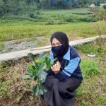 Peringati Hari Gerakan Setuju Pohon dengan Menanam Bibit Pohon