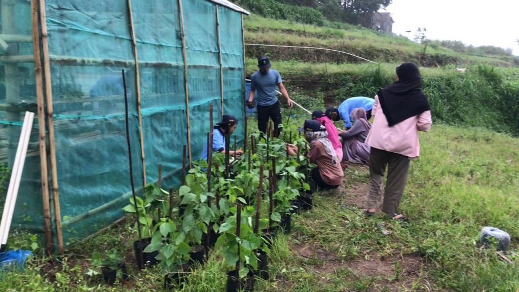Manfaatkan Lahan Maksimalkan Hasil Mahasiswa KKN MIT DR (Mandiri Inisiatif Terprogram Dari Rumah) UIN Walisongo Semarang melaksanakan kegiatan pemindahan dan pembagian bibit pohon