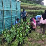 Manfaatkan Lahan Maksimalkan Hasil