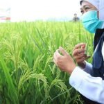 Gubernur Khofifah Pastikan Jatim Tak Perlu Beras Impor