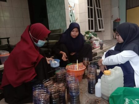 Manfaatkan Lahan Sempit, Mahasiswa PMM UMM Budidayakan Tanaman Hidroponik Mahasiswa PMM UMM saat menyiapkan media tanam hidroponik
