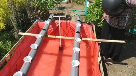 Mahasiswa UMM Ajak Masyarakat Budidaya Ikan dan Tanaman dengan Akuaponik Pembuatan aquaponik sederhana yang dilakukan mahasiswa PMM UMM