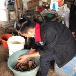 Mahasiswa PMM Andil Budidayakan Ikan Lele