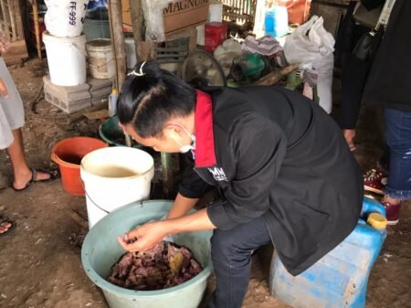 Mahasiswa PMM Andil Budidayakan Ikan Lele Mahasiswa PMM UMM budidayakan lele