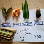 Kreatif, Mahasiswi Ini Buat Kreasi Cap dari Pelepah Pisang