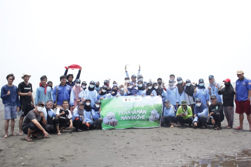Gandeng Karang Taruna, Mahasiswa KKN UIN Walisongo Tanam Ribuan Mangrove