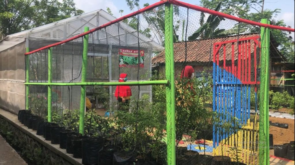 Warga Jurangombo Selatan Sulap Lahan Bengkok Jadi Lahan Produktif Lahan produktif warga RW 09 Kelurahan Jurangombo Selatan Kota Magelang