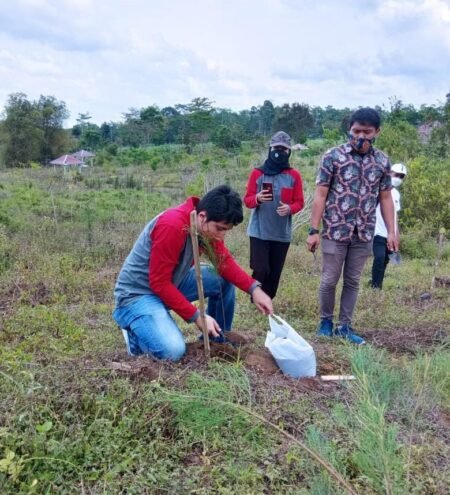 My Darling, Sebuah Program Inovatif Dinas Lingkungan Hidup Kabupaten Malang Penanaman pohon cemara di kawasan Njulung Agro Edu Tourism Desa Bambang, Kecamatan Wajak, Kabupaten Malang