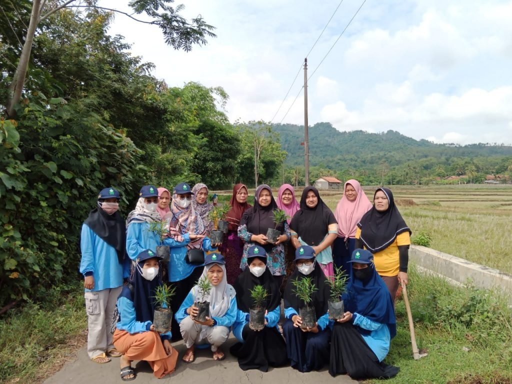 Galakkan Go Green, Mahasiswa KKN UIN Walisongo Ajak Ibu PKK Menanam Pucuk Merah Mahasiswa KKN UIN Walisongo melakukan penanaman pucuk merah