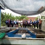 Mahasiswa KKN UIN Walisongo Bagikan Ribuan Bibit Lele kepada Warga Jambu Timur