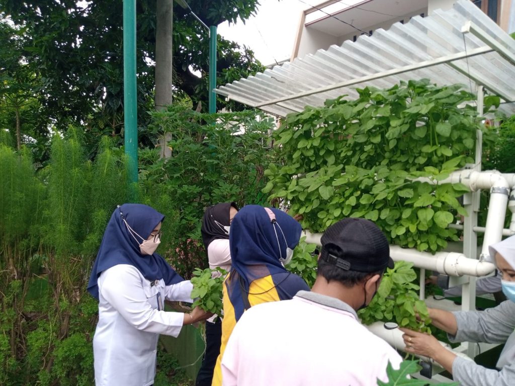 Peran Karang Taruna dalam Mengembangkan Potensi Desa