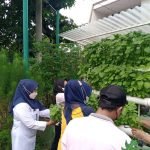 Peran Karang Taruna dalam Mengembangkan Potensi Desa