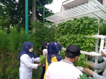 Peran Karang Taruna dalam Mengembangkan Potensi Desa