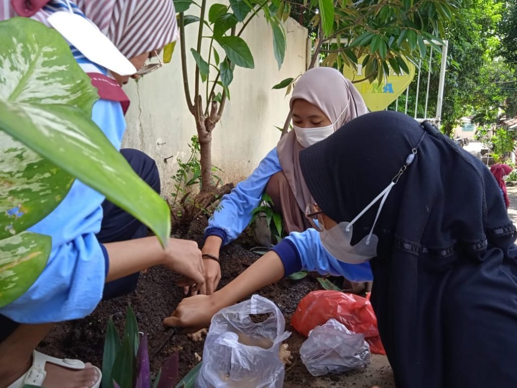 Peduli Kesehatan Masyarakat, Mahasiswa UIN Walisongo Adakan Penanaman Tanaman Toga