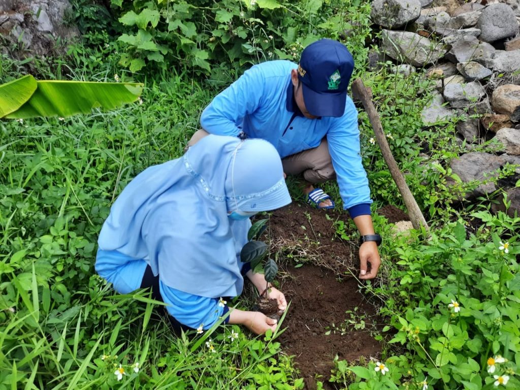 Gencarkan Go Green, Mahasiswa Uin Walisongo Tanam Ratusan Bibit Pohon