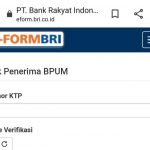 Cair Desember 2021, Berikut Cara Mengecek Penerima BPUM Rp 1,2 Juta