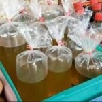 Pemerintah Batalkan Larangan Penjualan Minyak Goreng Curah