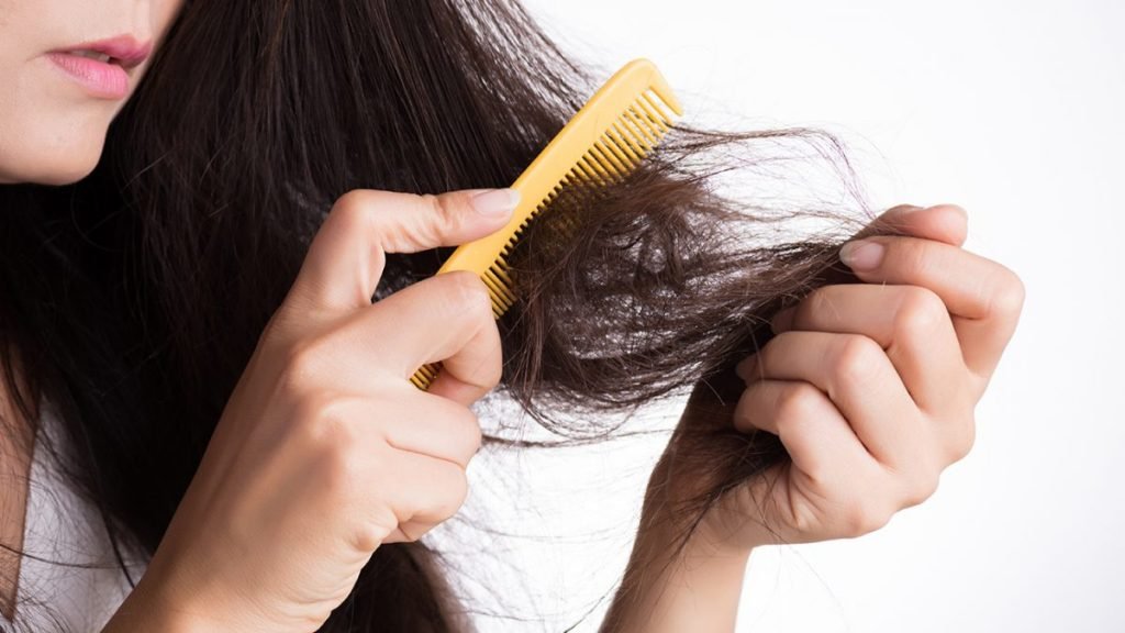 Masalah Rambut Rontok, Perbanyak Konsumsi Makanan Ini