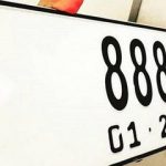 Akan Dirubah Tahun ini, Warna Plat Nomor Kendaraan Diganti Jadi Putih