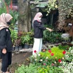 Mahasiswa PMM UMM Andil dalam Pembersihan dan Pengembangan Desa Jombok