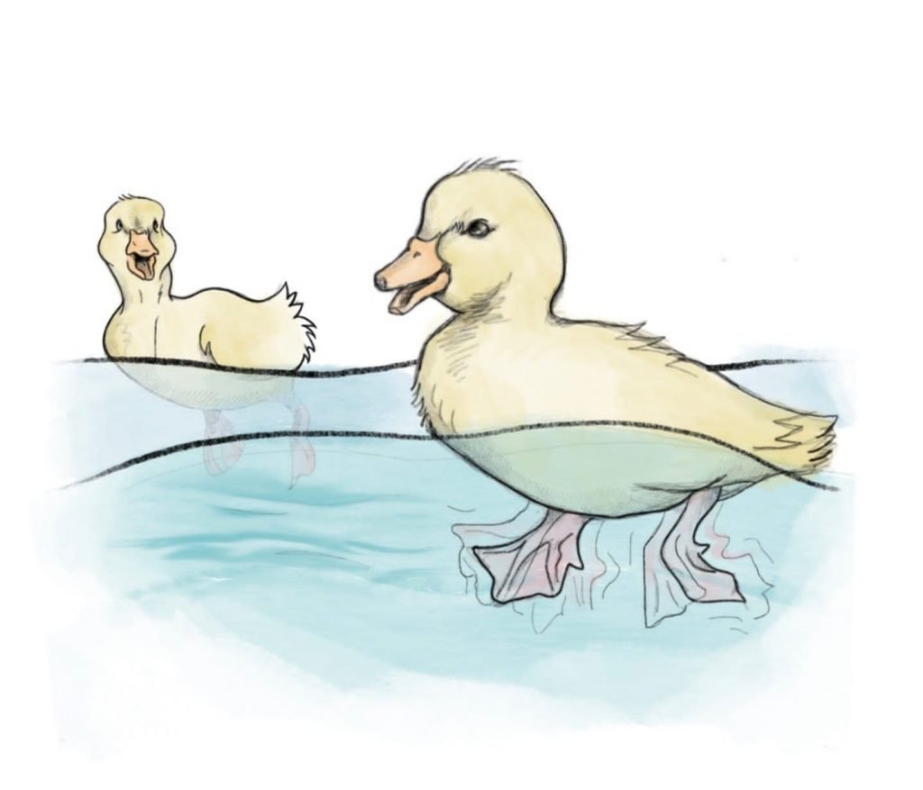 Mengenal Duck Syndrome, Pura-pura Tenang Padahal Punya Banyak Masalah Ilustrasi duck syndrome / by Zoe Chen / The Dartmouth